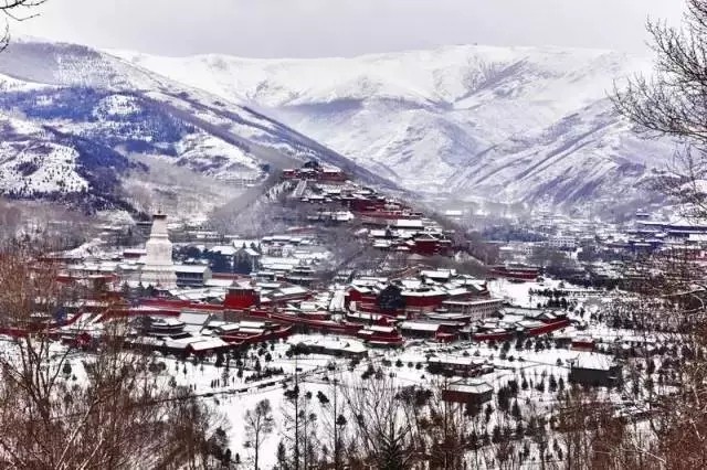 山西好色先生TV网站赴佛教聖地五台山為您祈福